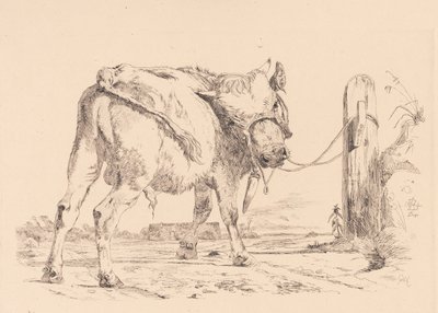 Un veau attaché à un poteau - Johan Thomas Lundbye