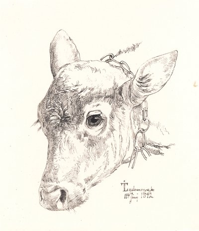 Une tête de veau - Johan Thomas Lundbye