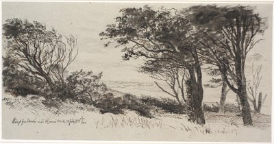 Arbres battus par le vent. Vejrhøj - Johan Thomas Lundbye