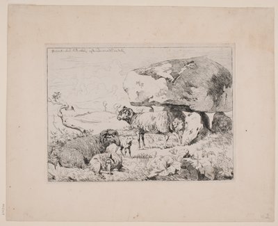 Moutons près d