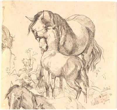 La jument et le poulain, étude de cheval (dos et tête) et oreilles d
