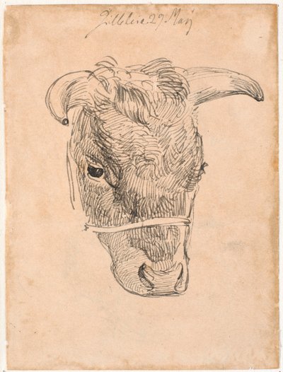 Tête de vache - Johan Thomas Lundbye