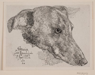 Tête de chien, Snip - Johan Thomas Lundbye