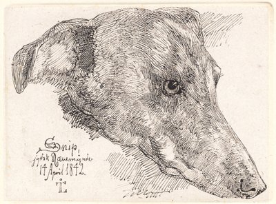 Tête de chien, Snip - Johan Thomas Lundbye