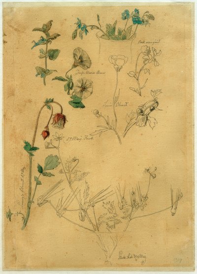 J. Th. Lundbye, étude de plantes - Johan Thomas Lundbye
