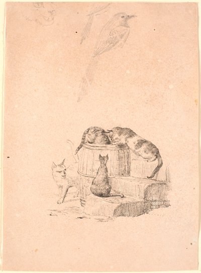 Les chats. En haut, étude au crayon d