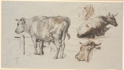 Études de bétail. À gauche, le taureau Grev Geert - Johan Thomas Lundbye