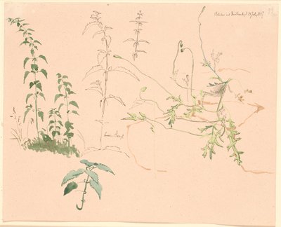 Études de plantes - Johan Thomas Lundbye