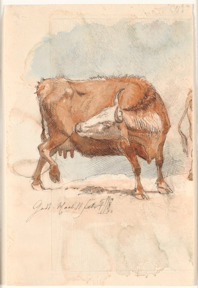Vache rouge léchant sa cuisse droite - Johan Thomas Lundbye