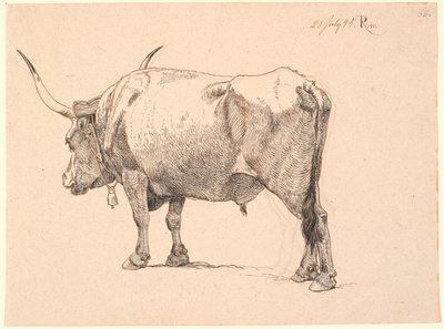 Taureau romain avec une cloche autour du cou, vu de biais par derrière - Johan Thomas Lundbye