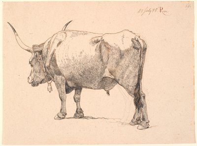 Taureau romain avec une cloche autour du cou, vu de biais par derrière - Johan Thomas Lundbye