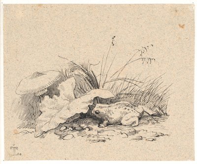 Crapaud - Johan Thomas Lundbye