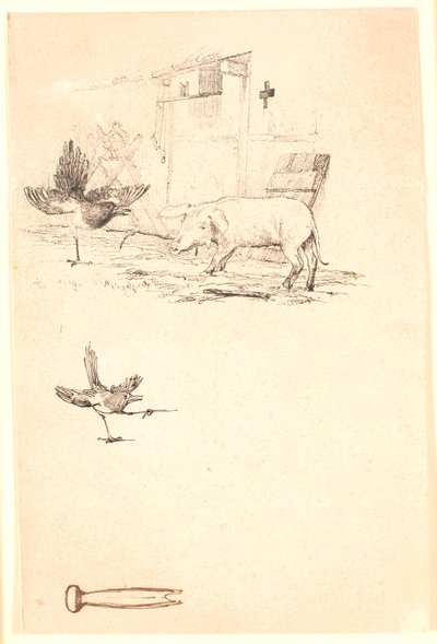La cigogne et le cochon. En dessous, étude de la pie et d