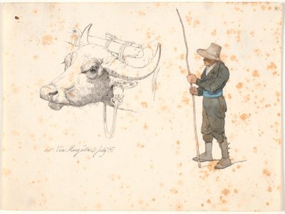 Étude de la tête d