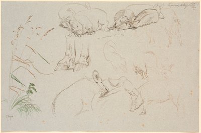 Feuille d