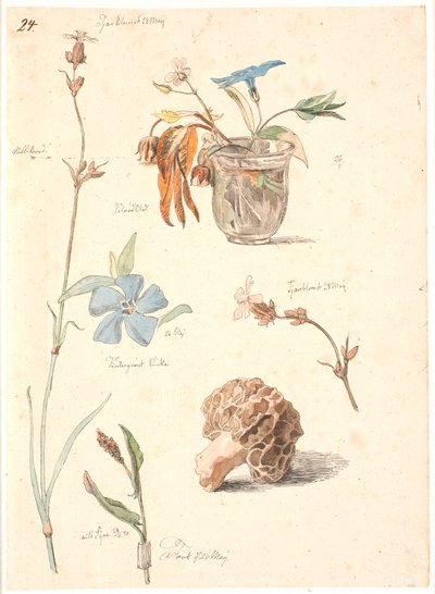 Feuille d