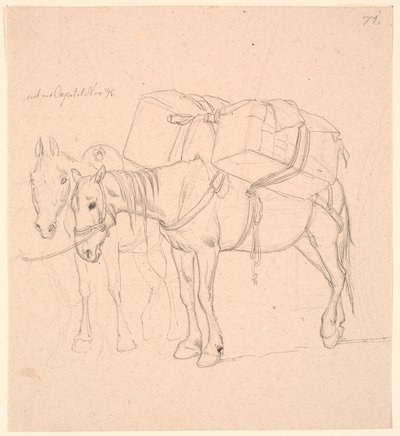 Deux chevaux avec des bagages - Johan Thomas Lundbye