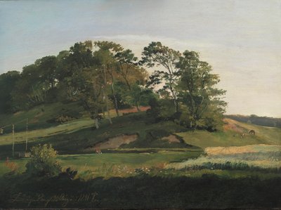 Collines boisées à Sørupvang - Johan Thomas Lundbye