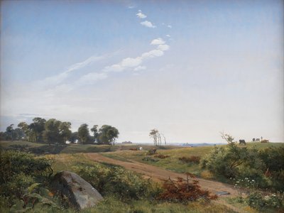 Paysage de Zélande. Campagne ouverte en Zélande du Nord - Johan Thomas Lundbye