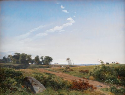 Paysage de Zélande. Campagne ouverte en Zélande du Nord - Johan Thomas Lundbye
