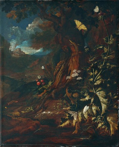 Paysage avec reptiles et insectes (I) - Johann Adalbert Angermayer