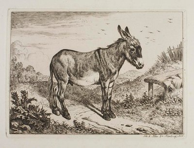 Âne - Johann Adam Klein