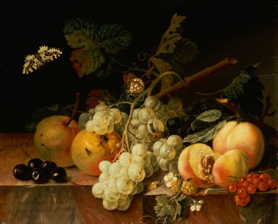 Fruits sur une corniche en marbre avec papillons, escargot et chenille - Johann Amandus Wink