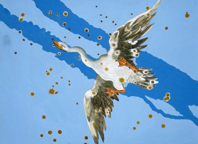 Constellation du Cygne, de Uranometria écrit par Johann Bayer et gravé par Alexander Mair (1559-c.1616) 1603 - Johann Bayer