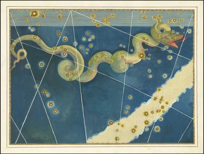 Hydra - Johann Bayer - Johann Bayer