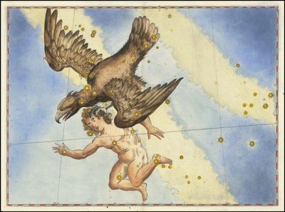 Johann Bayer - Aquila - Johann Bayer