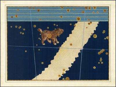 Johann Bayer, Canis Minor - Johann Bayer
