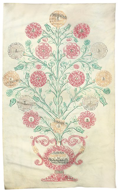 "La Rose", un arbre généalogique présenté à l