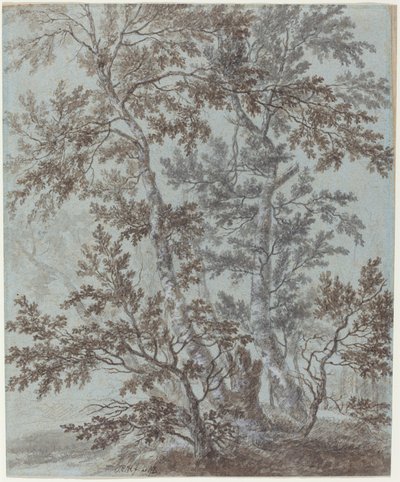 Un bosquet de bouleaux - Johann Caspar Huber