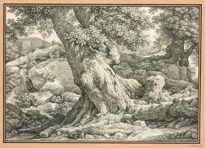  - Johann Christian Reinhart