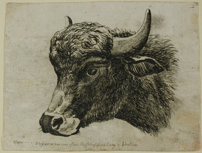 Tête de buffle tournée vers la gauche, de Die Zweite Thierfolge - Johann Christian Reinhart
