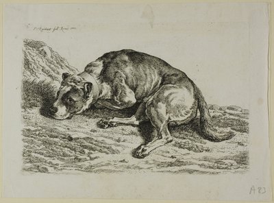 Chien couché, de Die Zweite Thierfolge - Johann Christian Reinhart