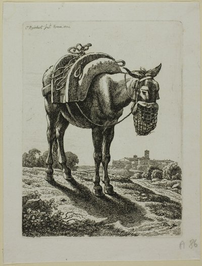 Mule nourrie - Devant, de Die Zweite Thierfolge - Johann Christian Reinhart