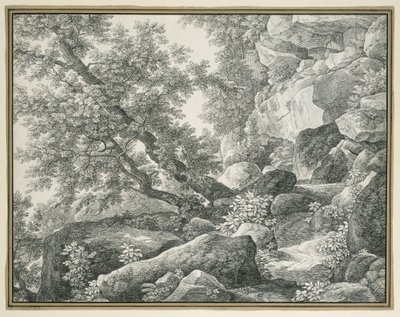 Paysage rocheux avec arbres - Johann Christian Reinhart