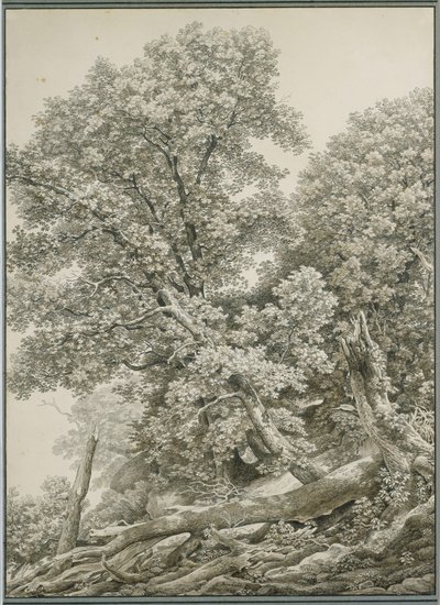  - Johann Christian Reinhart