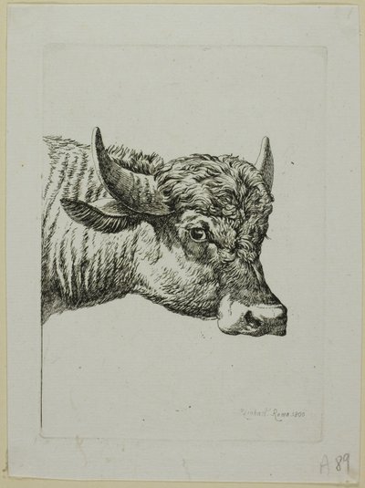 Tête de buffle, de Die Zweite Thierfolge - Johann Christian Reinhart