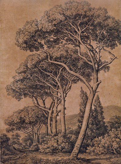 J C Reinhart Pin parasol 1791 - Johann Christian Reinhart