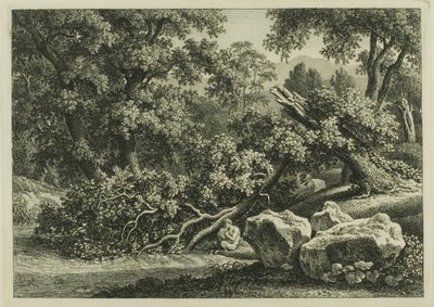 Paysage avec Pan jouant de la flûte - Johann Christian Reinhart