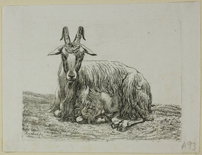 Chèvre couchée, de Die Zweite Thierfolge - Johann Christian Reinhart