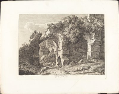 Dans le Colisée - Johann Christian Reinhart