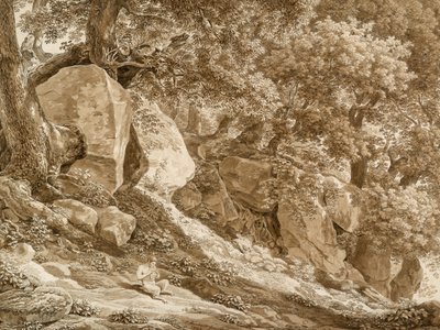 Paysage rocheux avec Pan jouant de la flûte (dans le parc de la Villa Chigi, Ariccia) - Johann Christian Reinhart