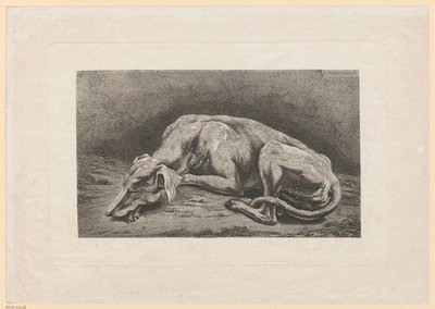 Lévrier endormi - Johann Christian Reinhart