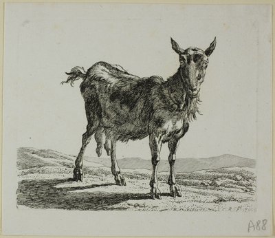 Chèvre Debout, de Die Zweite Thierfolge - Johann Christian Reinhart