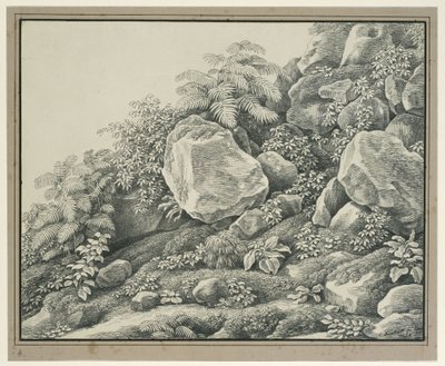 Étude de premier plan : rochers, buissons, fougères et plantes à feuillage - Johann Christian Reinhart