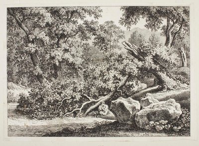  - Johann Christian Reinhart