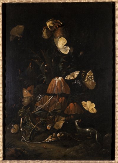 Fleurs avec papillons et lézard - Johann Christian Thomas Winck